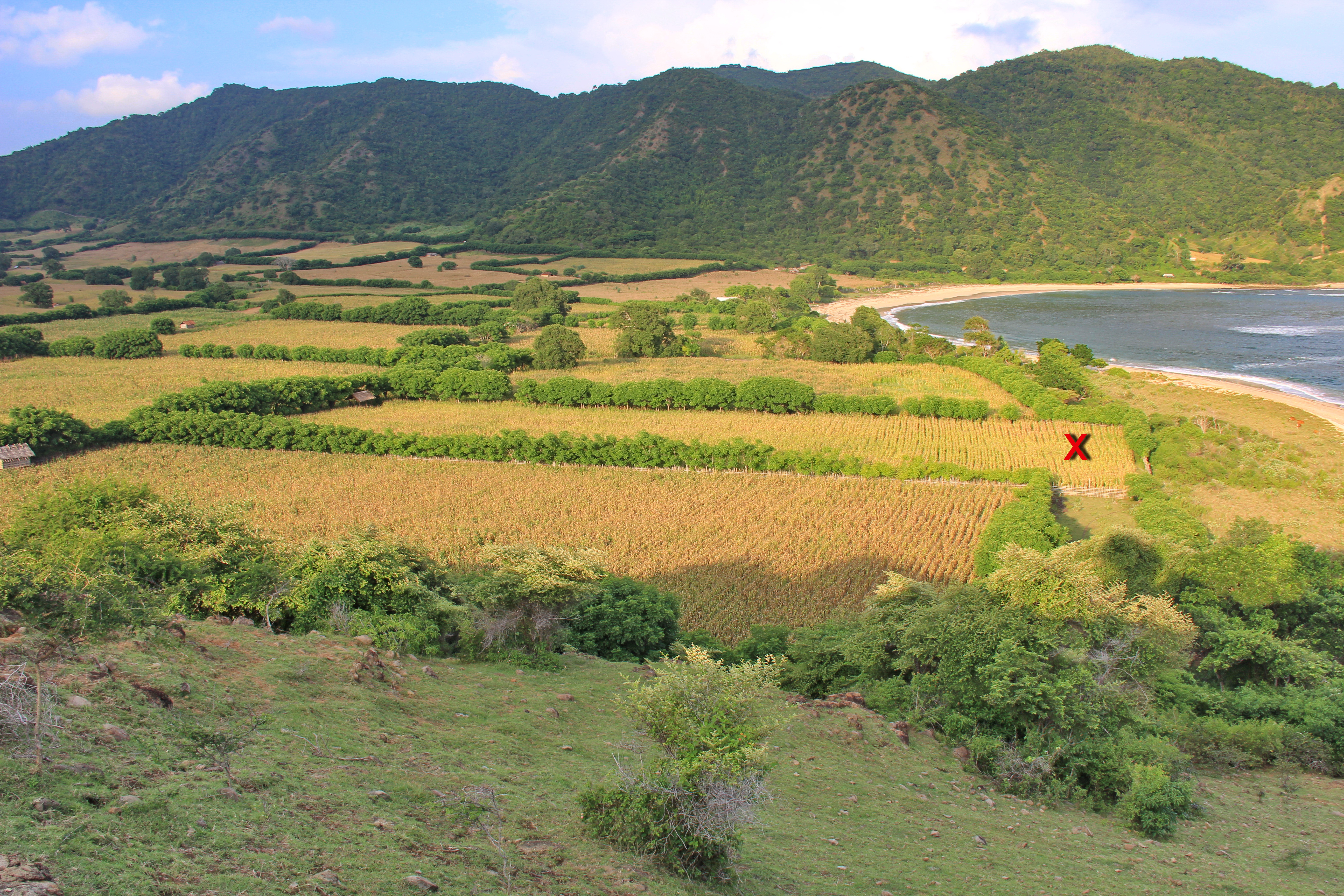 4600 sqm Land Freehold In Taliwang Sumbawa