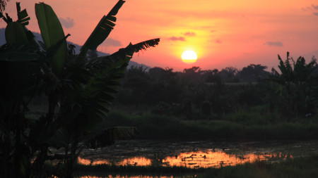 500 Sqm land Freehold In Keramas Gianyar