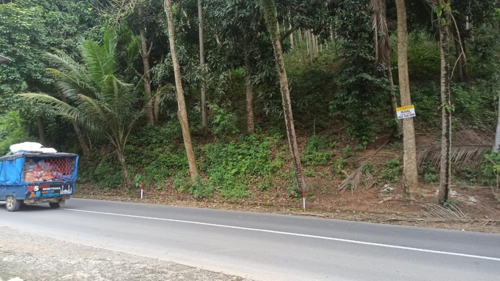 Dijual Cepat (BU) Tanah Kebun Pesawaran Lampung