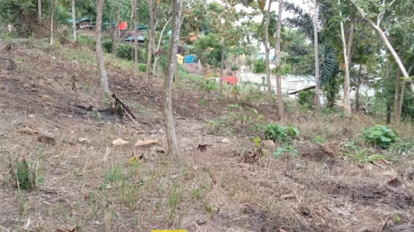 Dijual Sebidang Tanah  Perkebunan