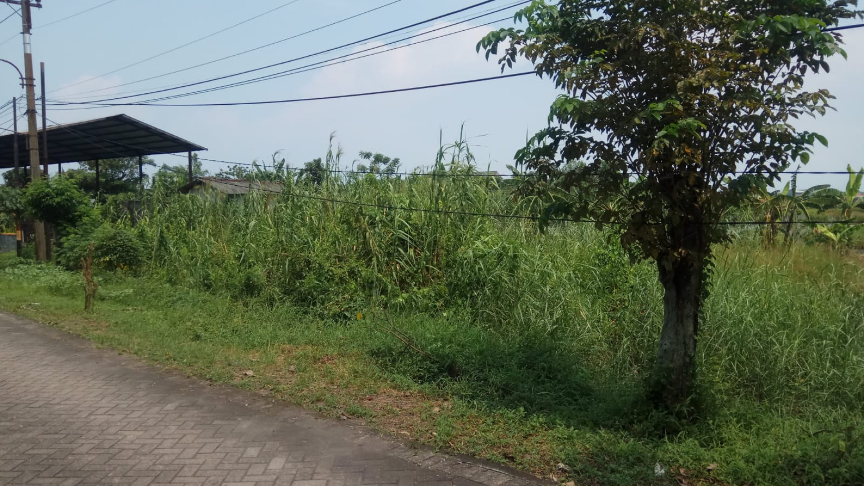 Dijual Tanah lokasi Buduran Sidoarjo