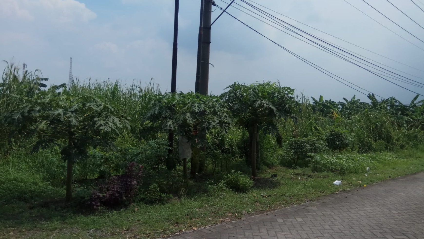 Dijual Tanah lokasi Buduran Sidoarjo