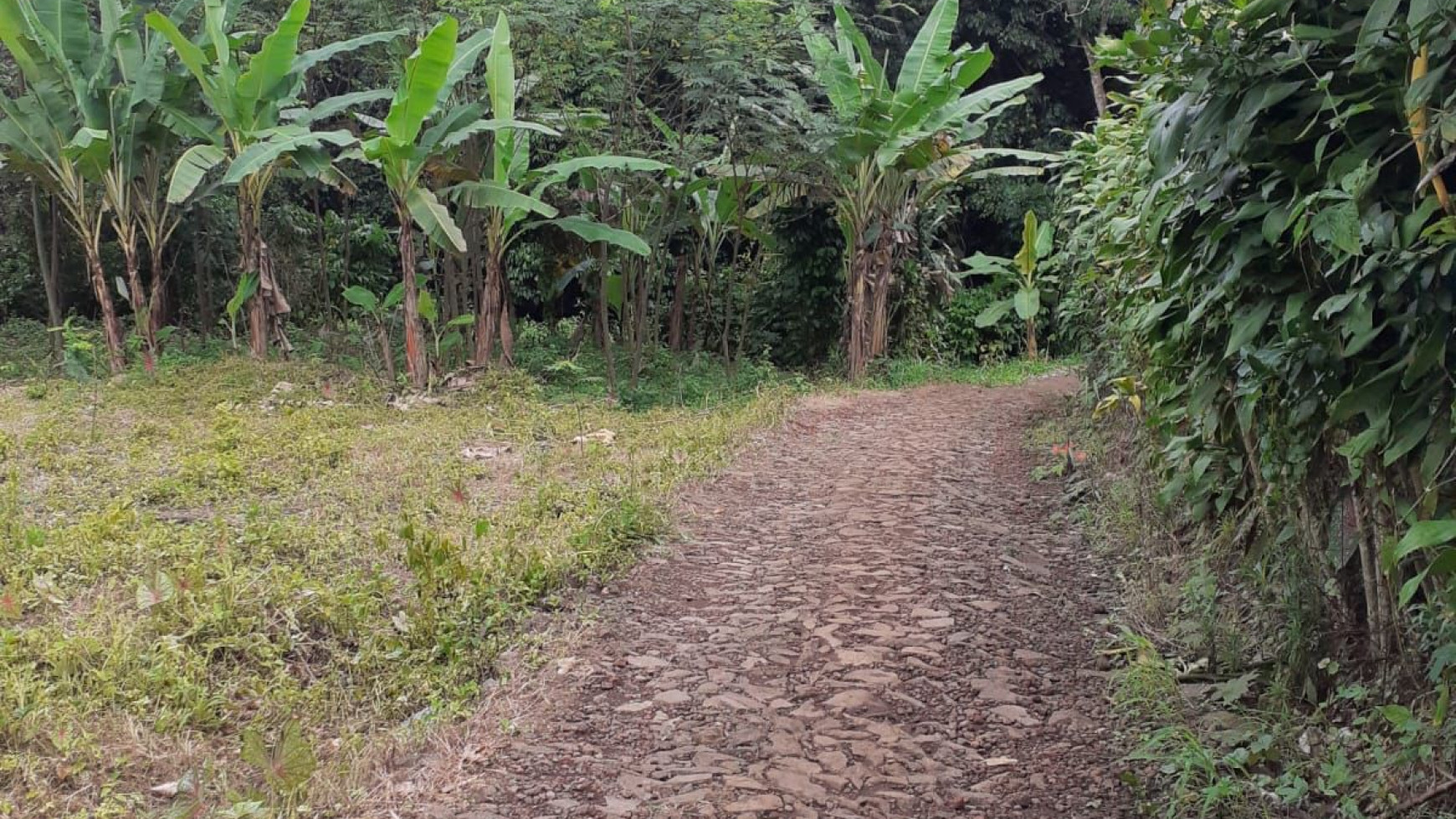 Dijual Kavling Tanah Subur dan Lahan Banyak Manfaat @Kp. Leuwi Bolang, Cikembar, Sukabumi