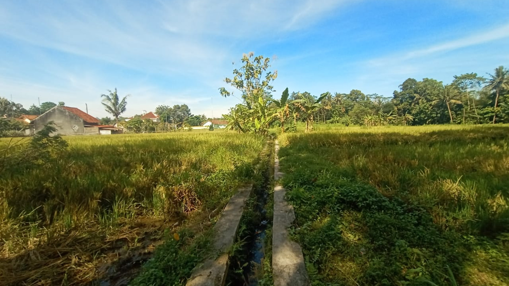 Tanah 870 Meter Persegi Di Jl kebon Agung  Sleman