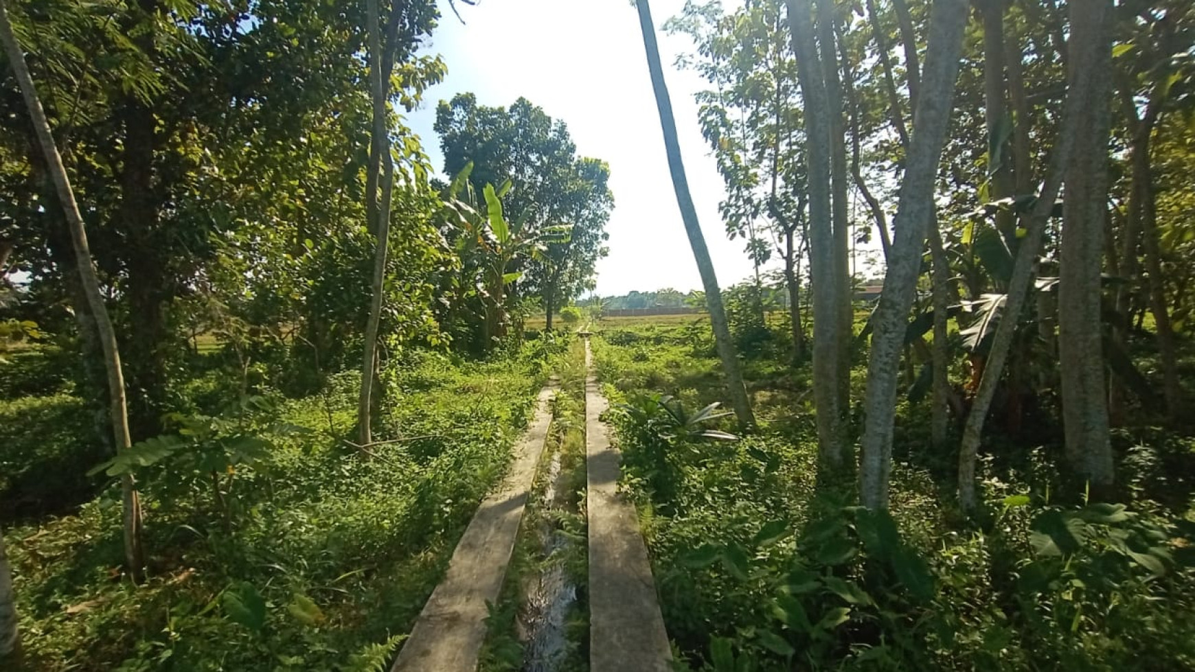 Tanah 870 Meter Persegi Di Jl kebon Agung  Sleman