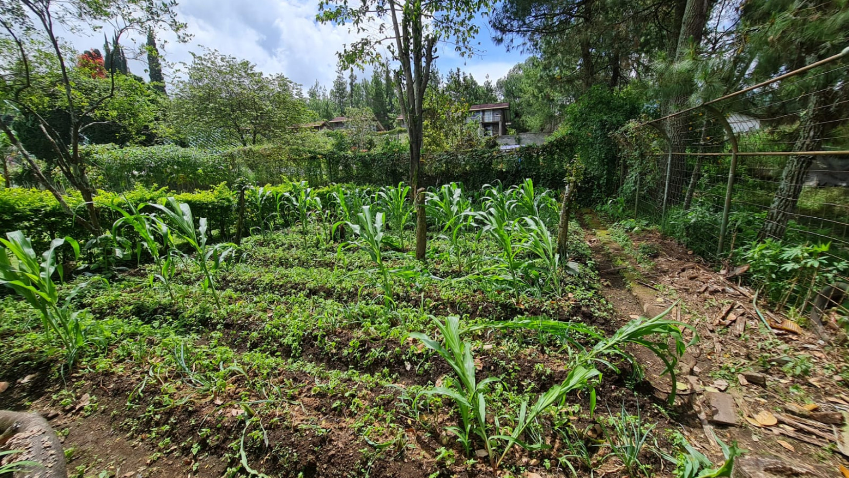 Villa Nyaman & Terawat di Villa Istana Bunga, Lembang