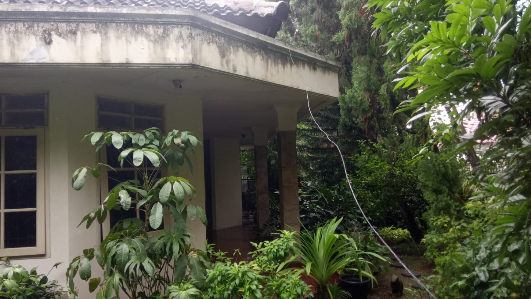 Dijual Rumah Tua Hitung Tanah Cikini Menteng