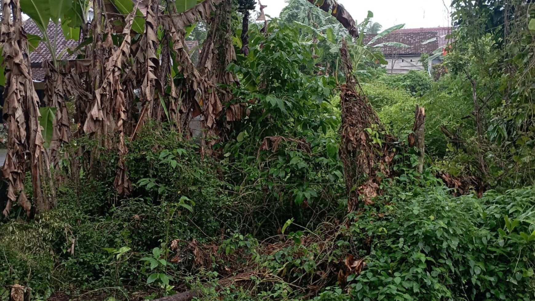 TANAH PEKARANGAN SIAP BANGUN DI PAKEM