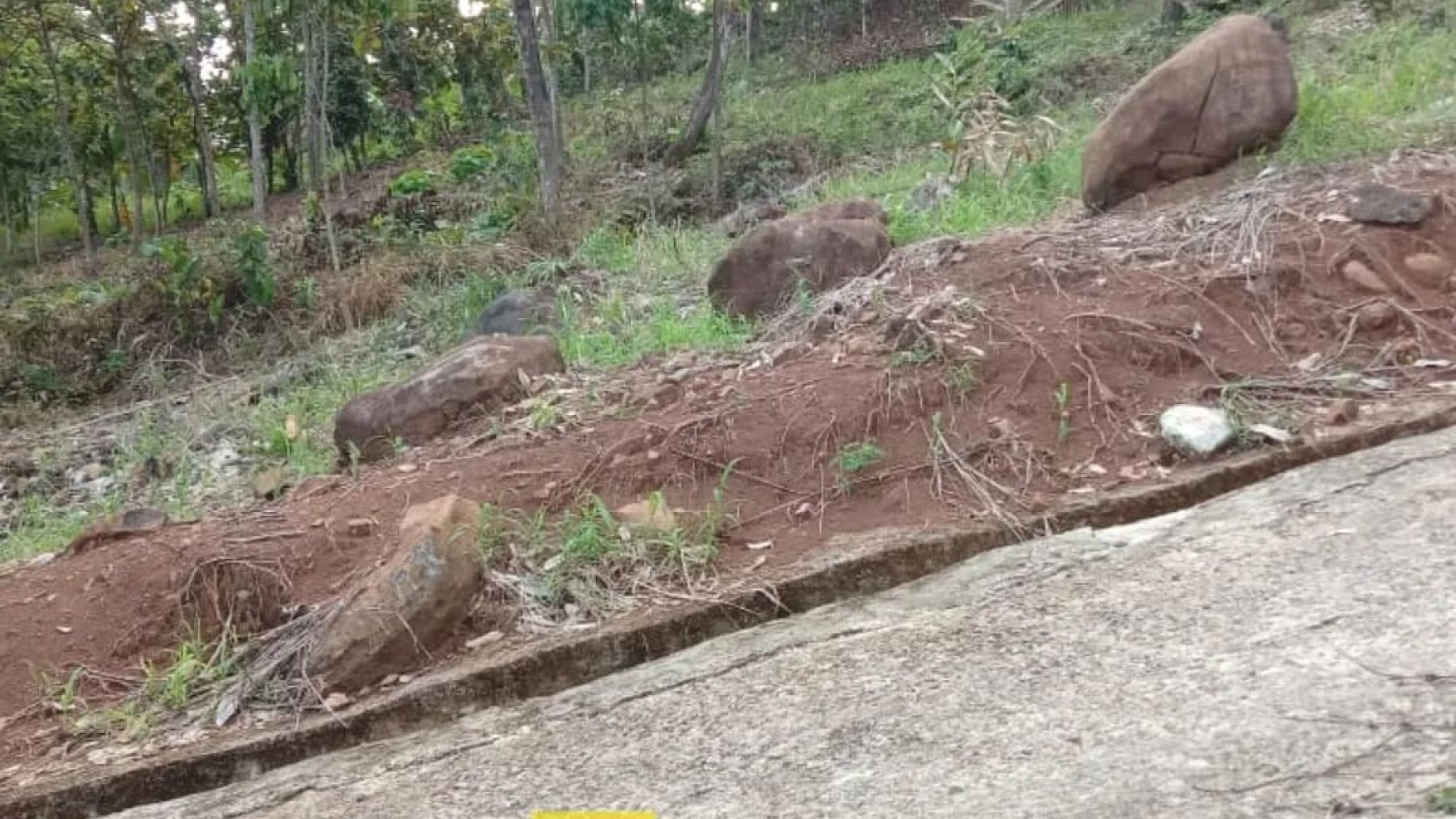 Tanah Perkebunan di Dataran Tinggi Tanjung Karang Barat