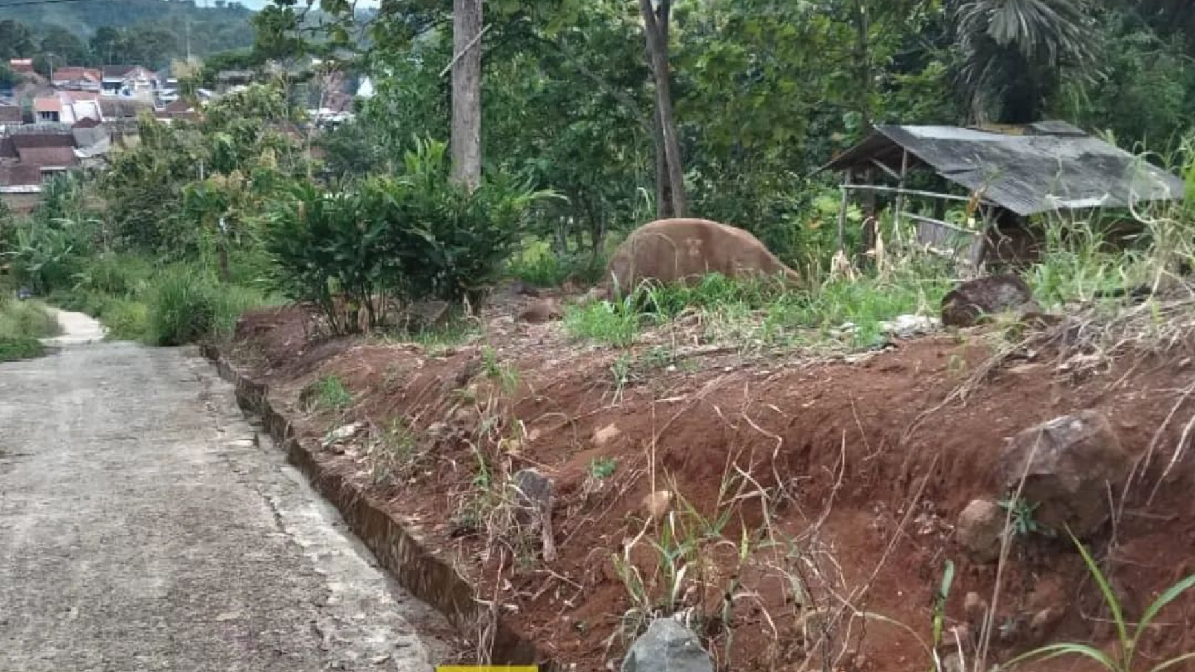 Tanah Perkebunan di Dataran Tinggi Tanjung Karang Barat