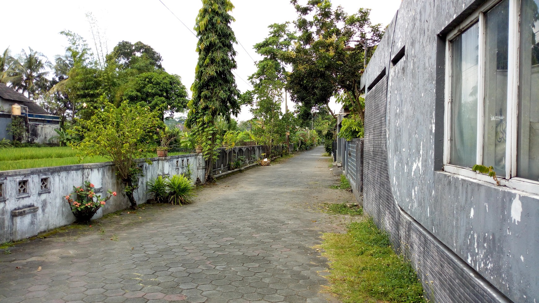 TANAH PEKARANGAN DI JL PALAGAN TENTARA PELAJAR, SLEMAN