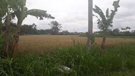 TANAH SELUAS 2.732 METER PERSEGI DI LEGOLAN, DEKAT KAMPUS UII