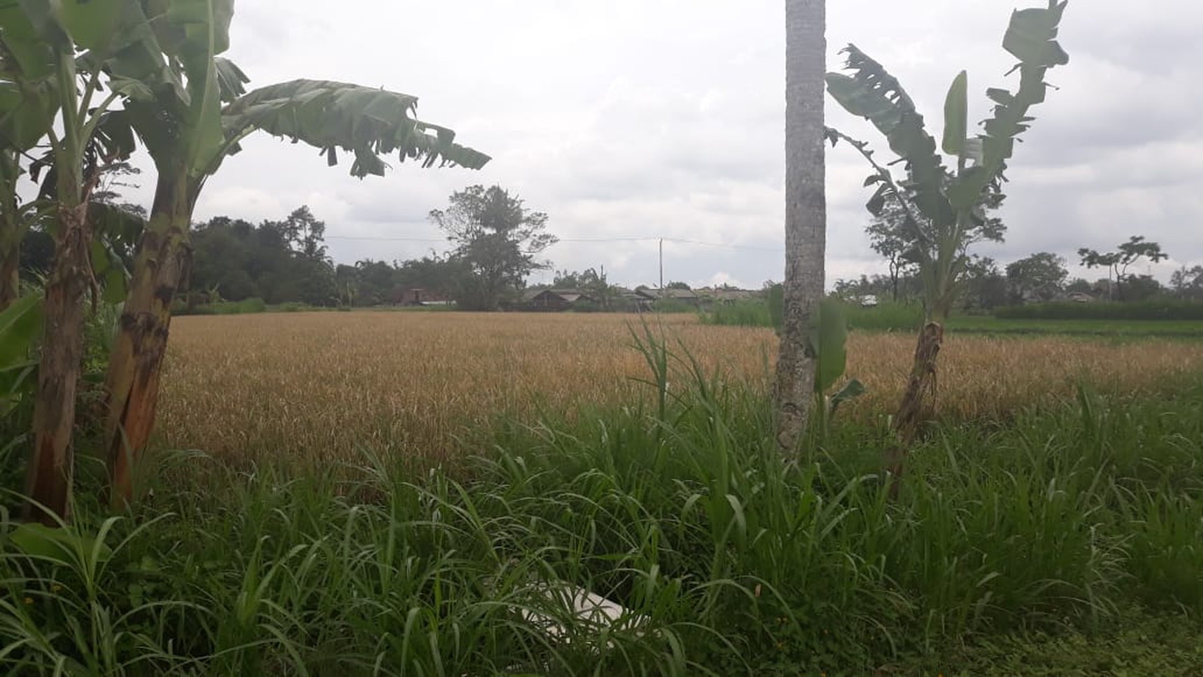 TANAH SELUAS 2.732 METER PERSEGI DI LEGOLAN, DEKAT KAMPUS UII