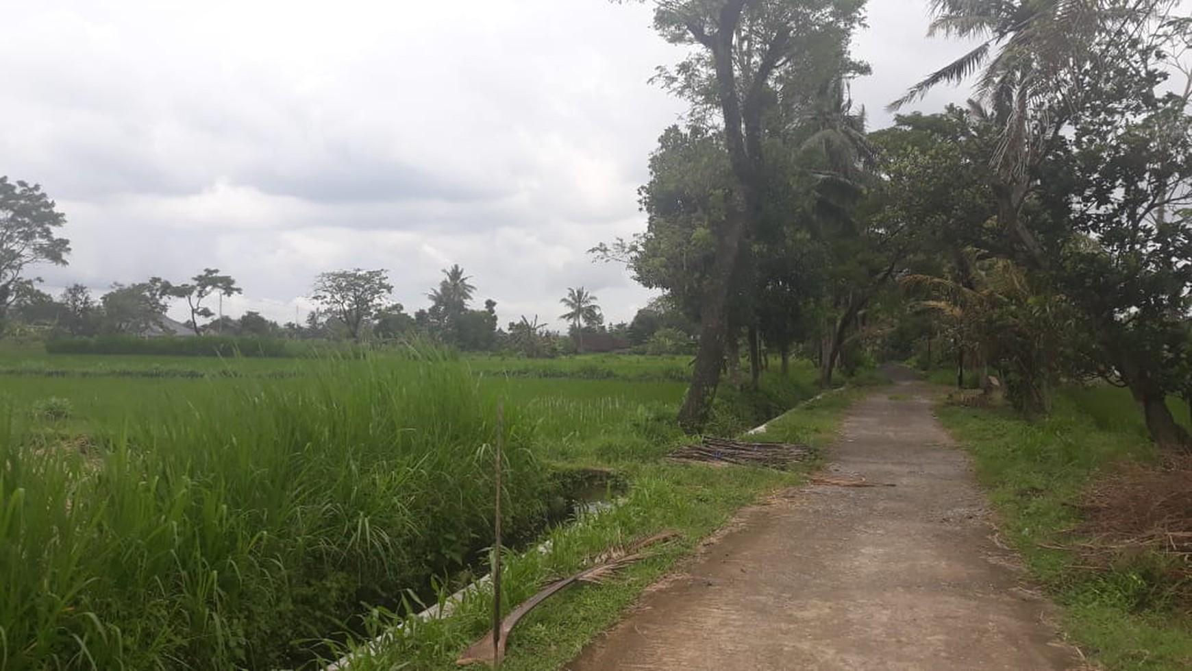 TANAH SELUAS 2.732 METER PERSEGI DI LEGOLAN, DEKAT KAMPUS UII