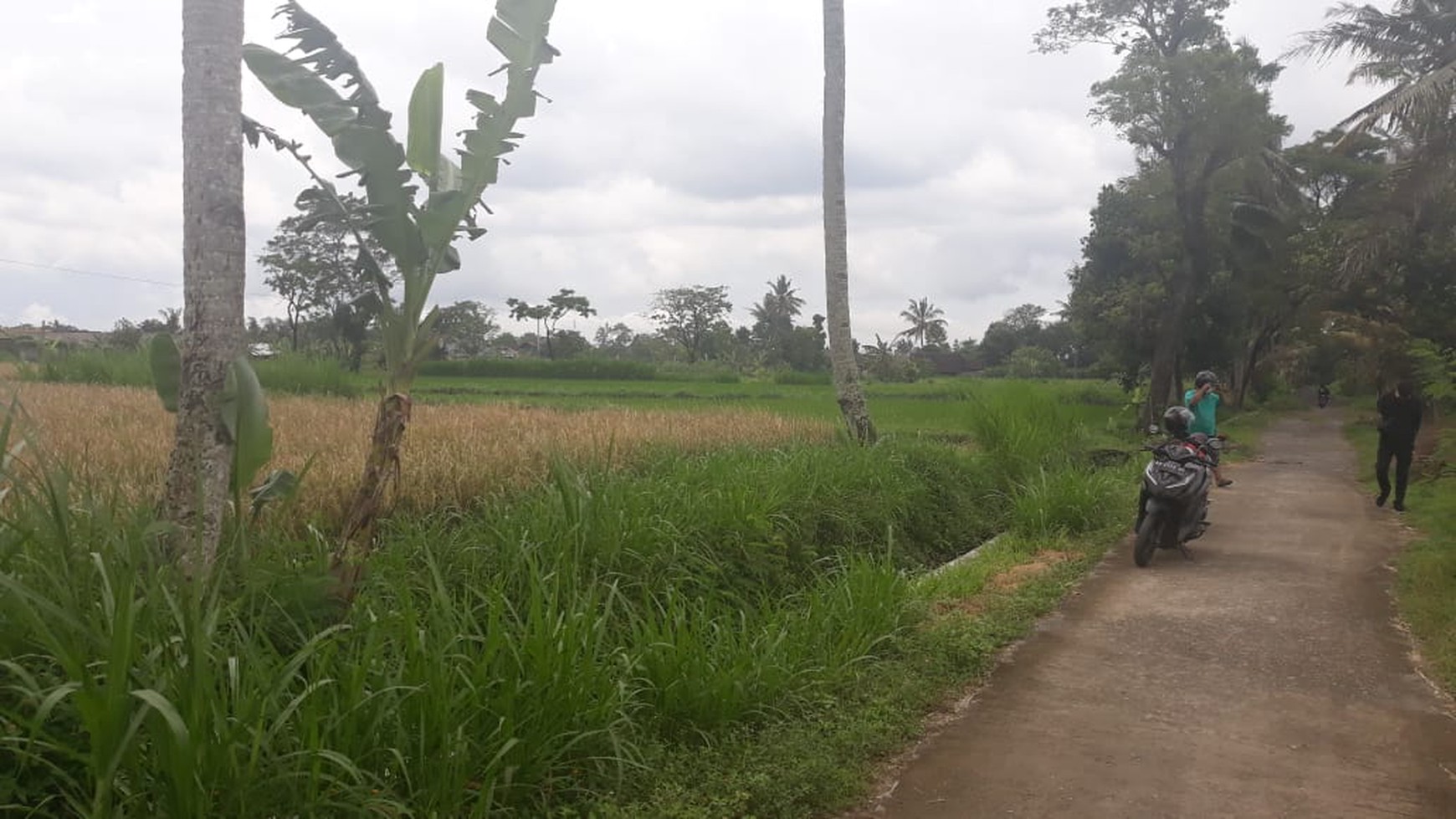 TANAH SELUAS 2.732 METER PERSEGI DI LEGOLAN, DEKAT KAMPUS UII