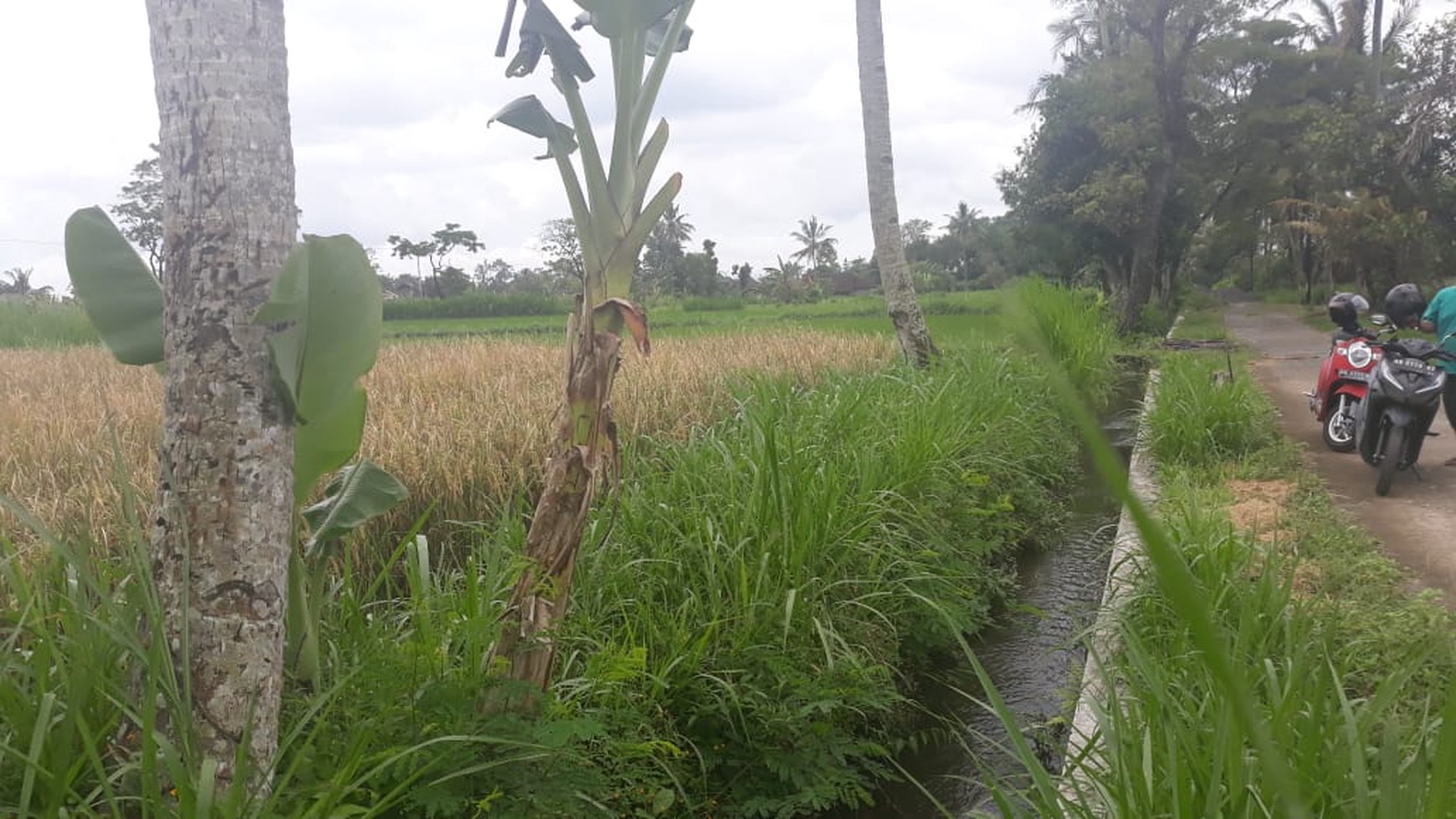 TANAH SELUAS 2.732 METER PERSEGI DI LEGOLAN, DEKAT KAMPUS UII