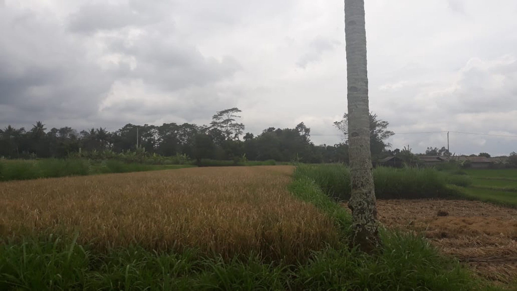 TANAH SELUAS 2.732 METER PERSEGI DI LEGOLAN, DEKAT KAMPUS UII