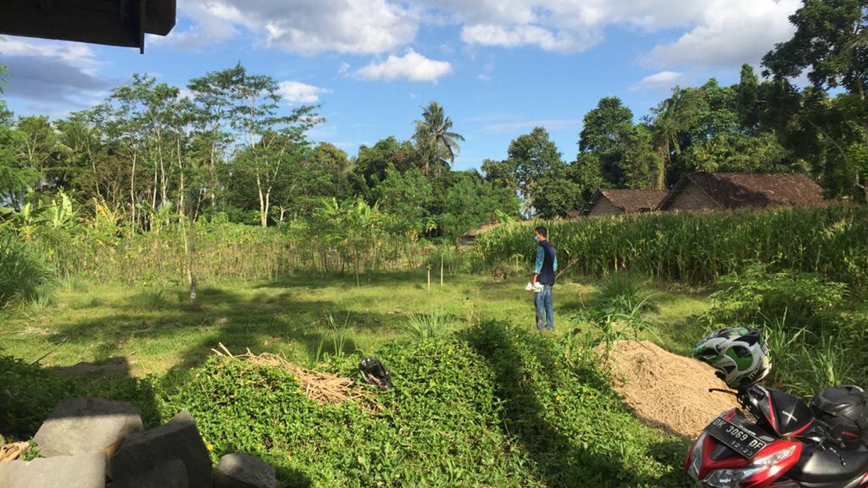 TANAH SAWAH 905 METER PERSEGI, DI UTARA RSUD SLEMAN