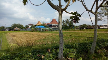 TANAH SAWAH 760 METER PERSEGI HANYA BEBERAPA METER DARI JL GODEAN KM 8