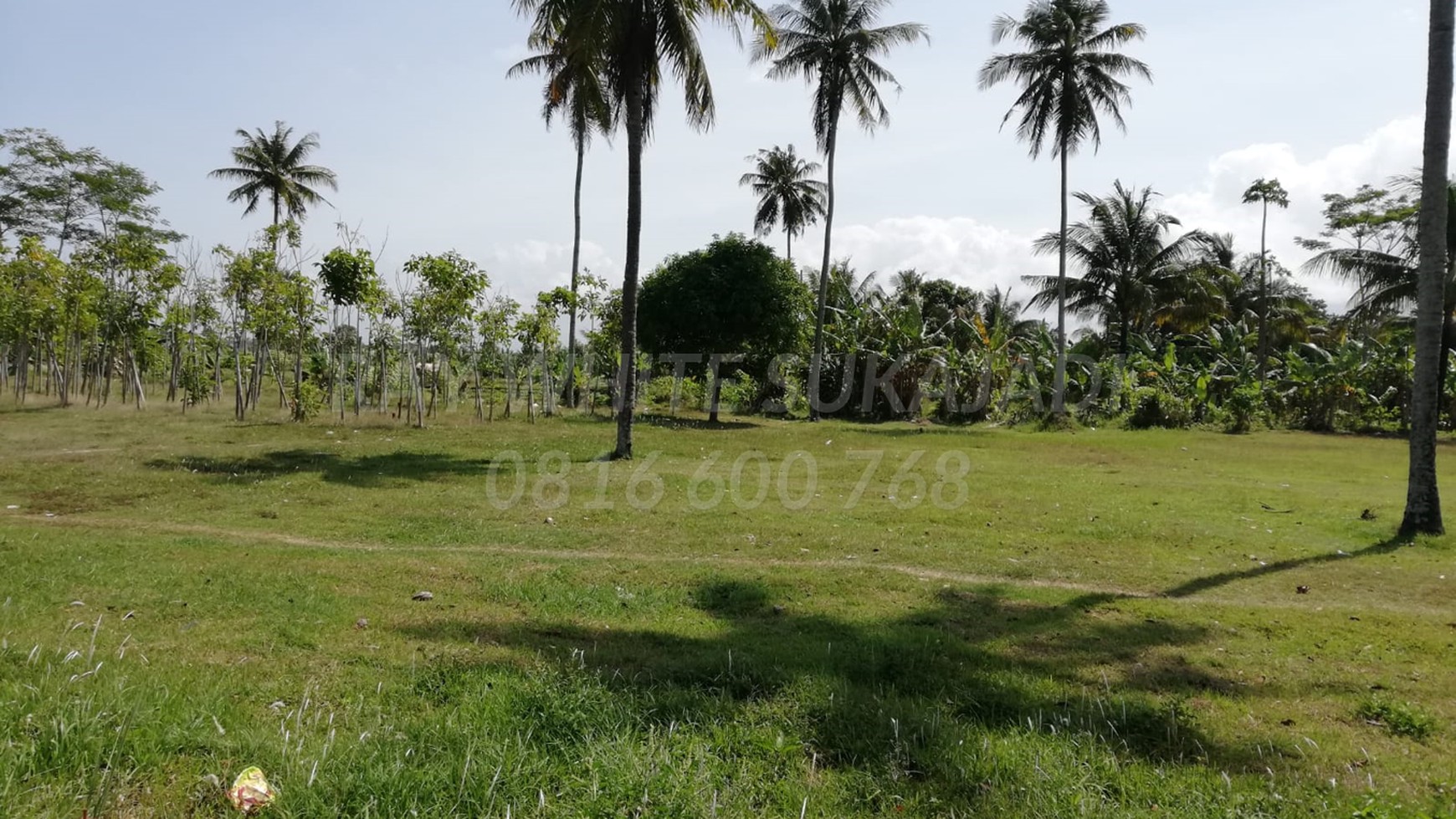 Jual tanah Pangandaran 