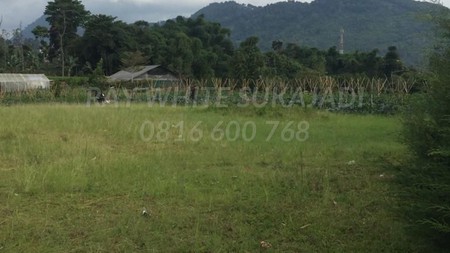 Tanah Kavling Cocok Untuk Perkebunan di Lembang Maribaya