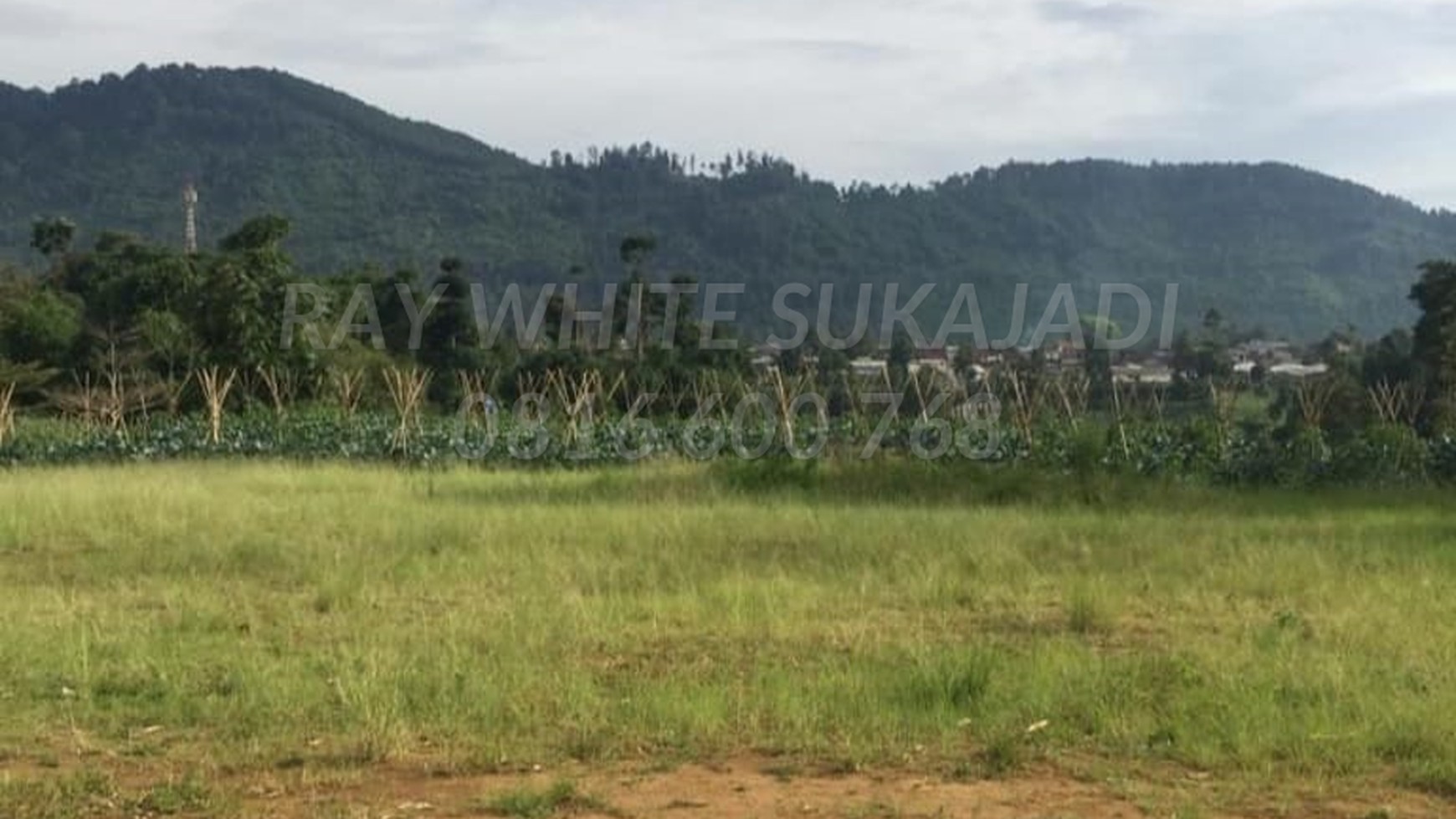 Tanah Kavling Cocok Untuk Perkebunan di Lembang Maribaya