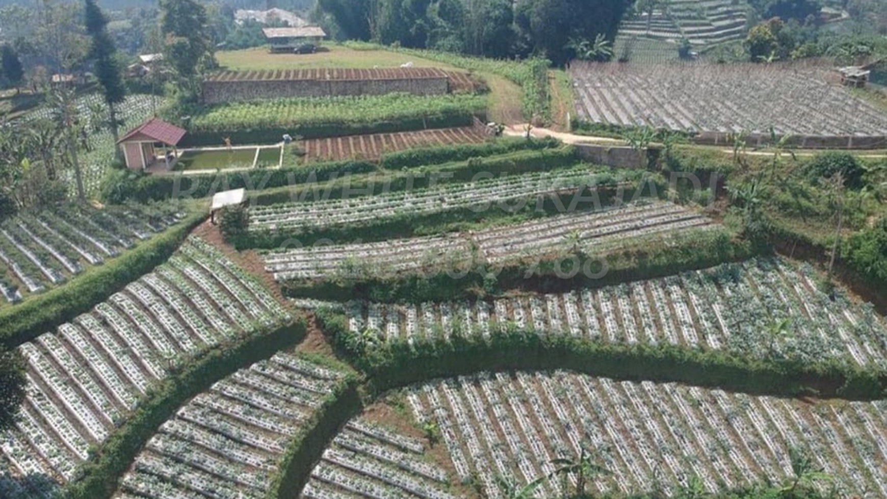 Tanah Kavling Cocok Untuk Perkebunan di Lembang Maribaya