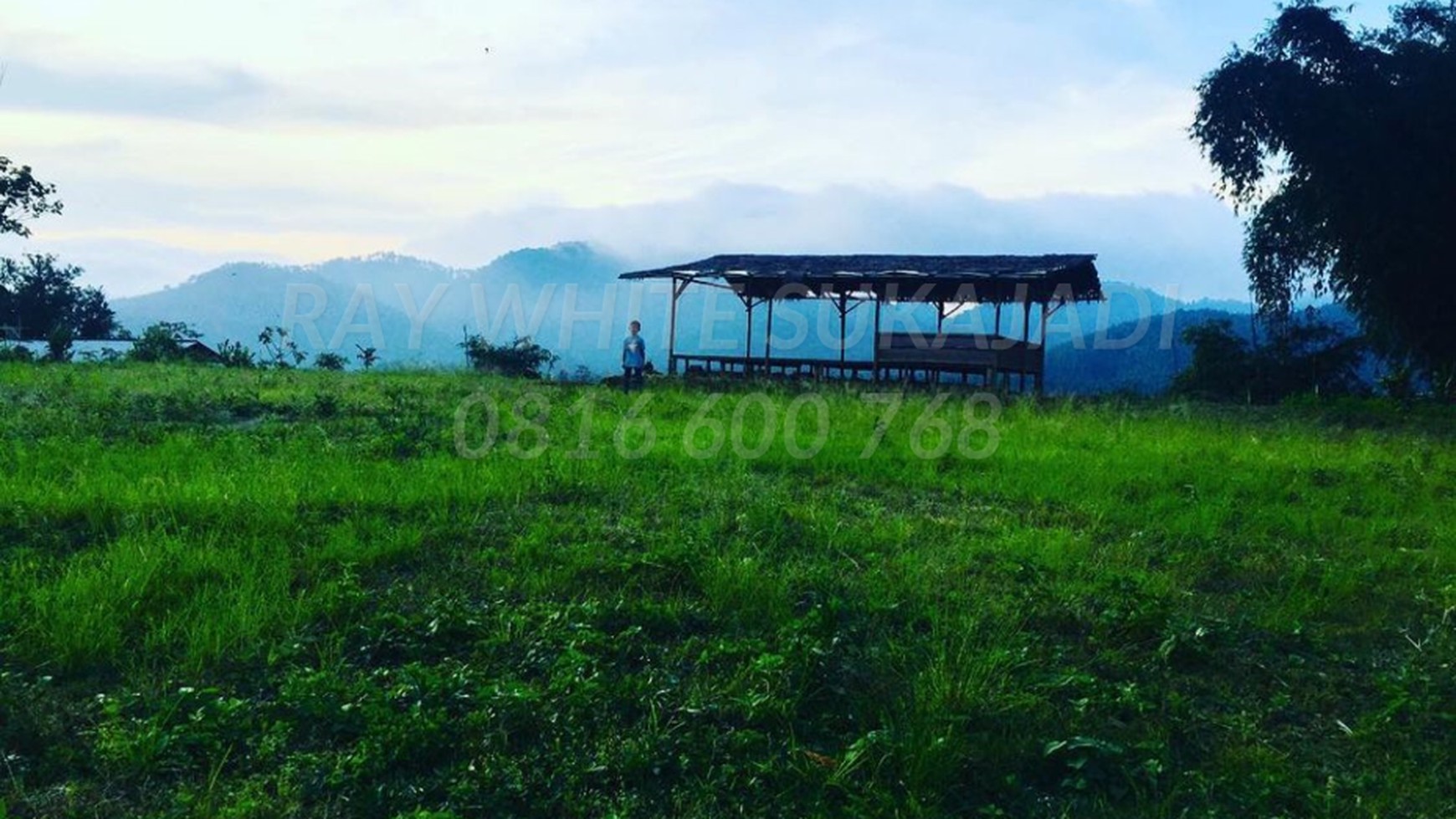 Tanah Kavling Cocok Untuk Perkebunan di Lembang Maribaya