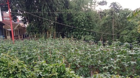 Dijual Tanah Kavling di Lembang