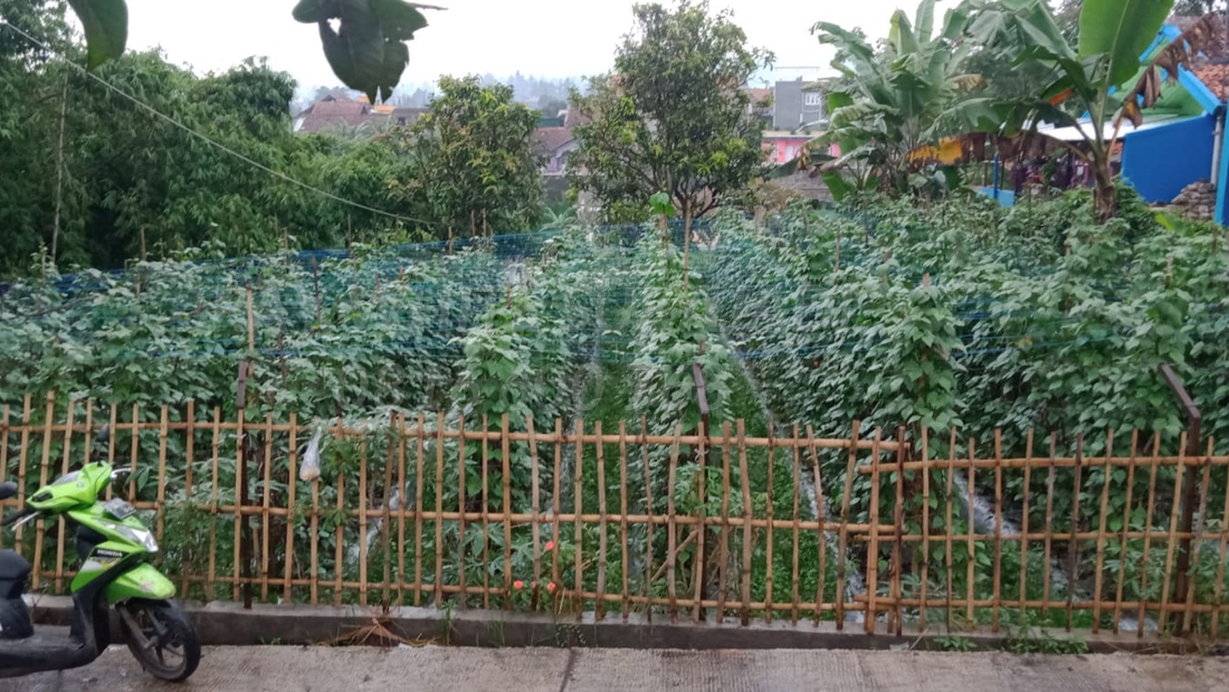 Dijual Tanah Kavling di Lembang