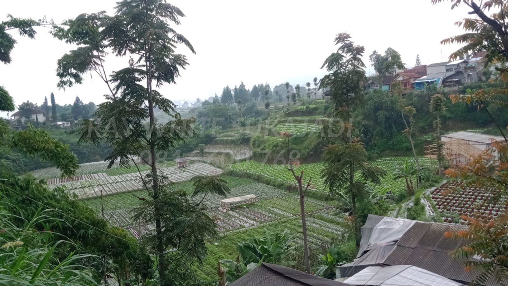 Dijual Tanah Kavling di Lembang