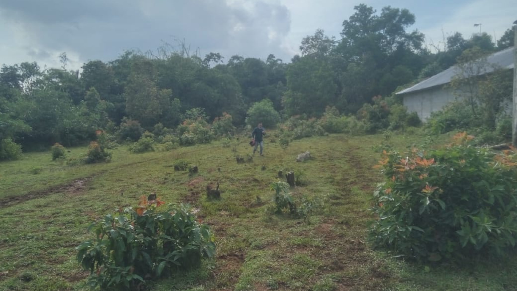 Kavling Murah Siap Bangun dan Cocok untuk Cluster @Babakan, Tenjo