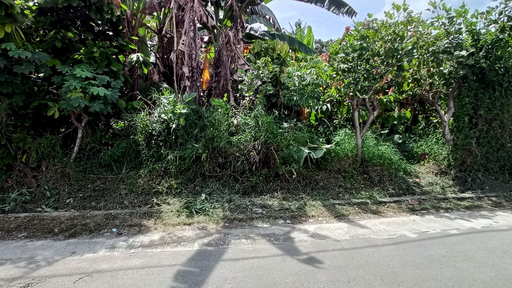 Dijual Tanah Jl Harapan, Kedaton 