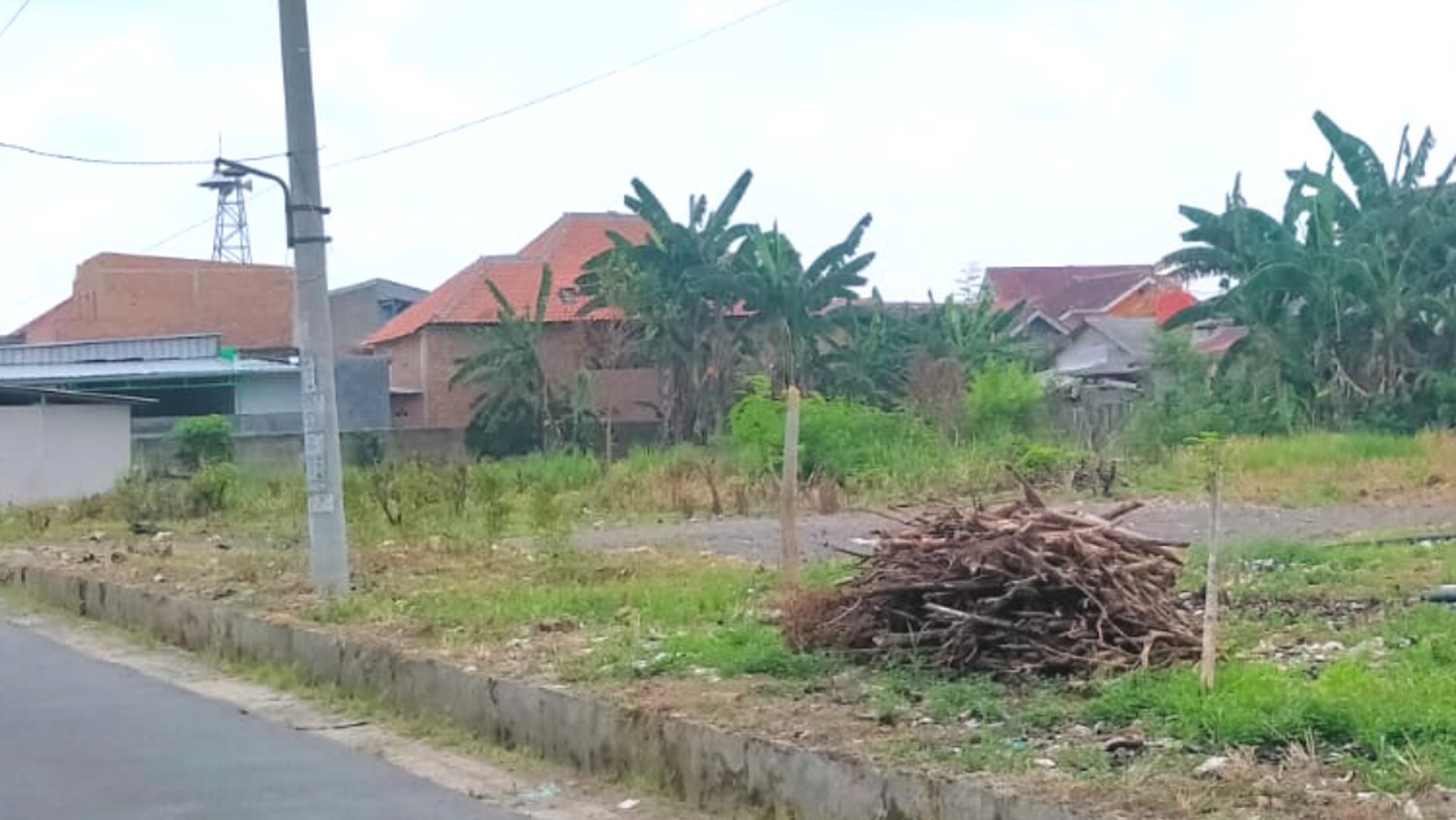 Tanah dijual Jl Ratu Dibalau Gang Seroja Tanjung Senang 