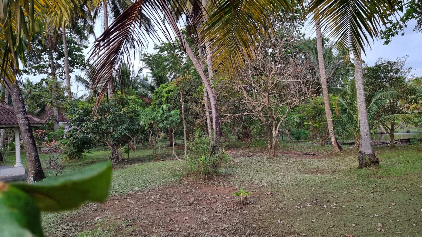 Tanah dan Bangunan di Tepi Pantai Sebalang 