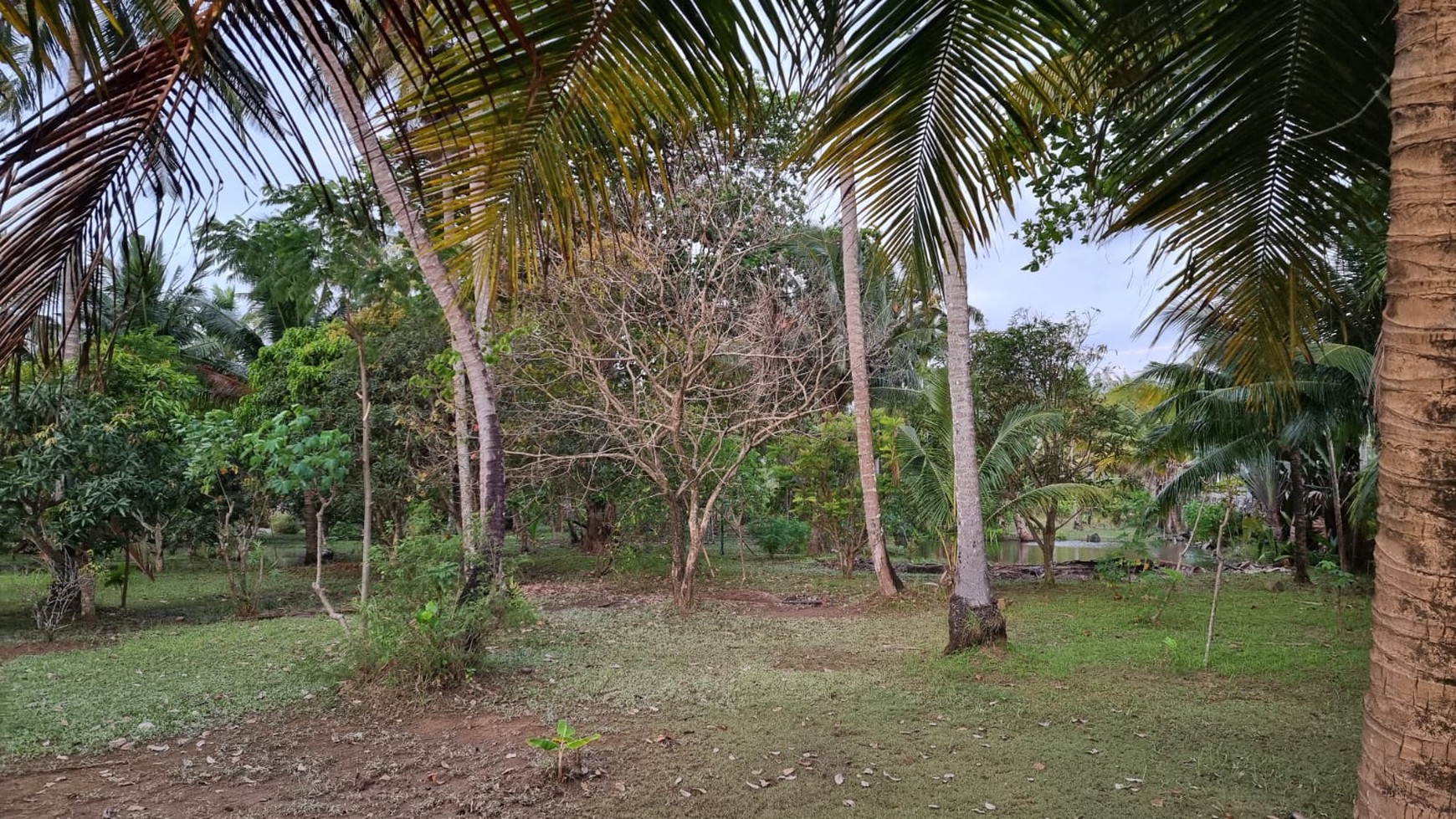 Tanah dan Bangunan di Tepi Pantai Sebalang 