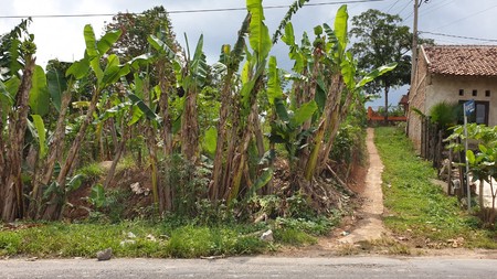 Tanah cocok untuk Perumahan di Teluk Betung