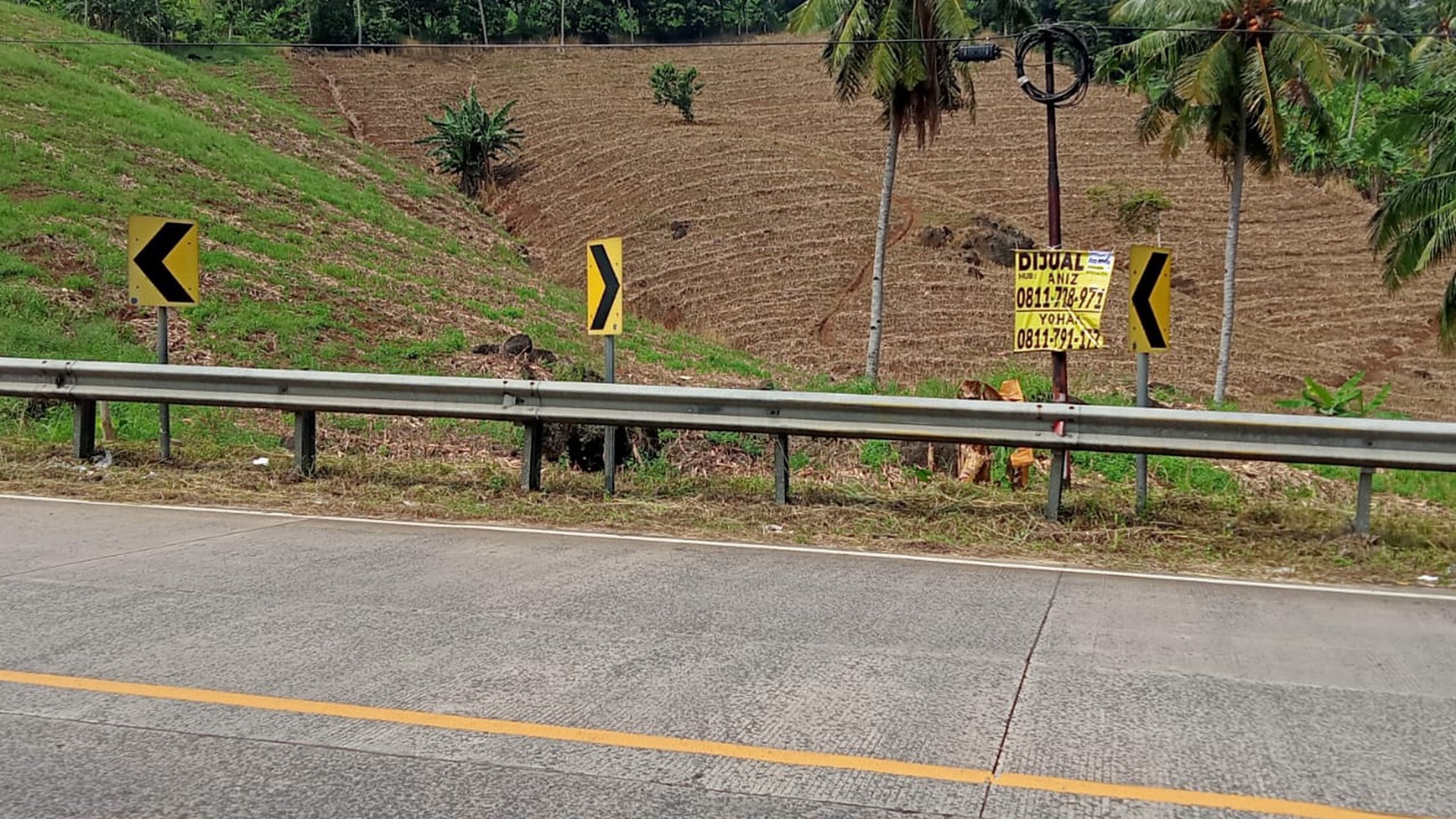 Tanah 8 Ha di Pinggir Jalan Bakauheni Lampung