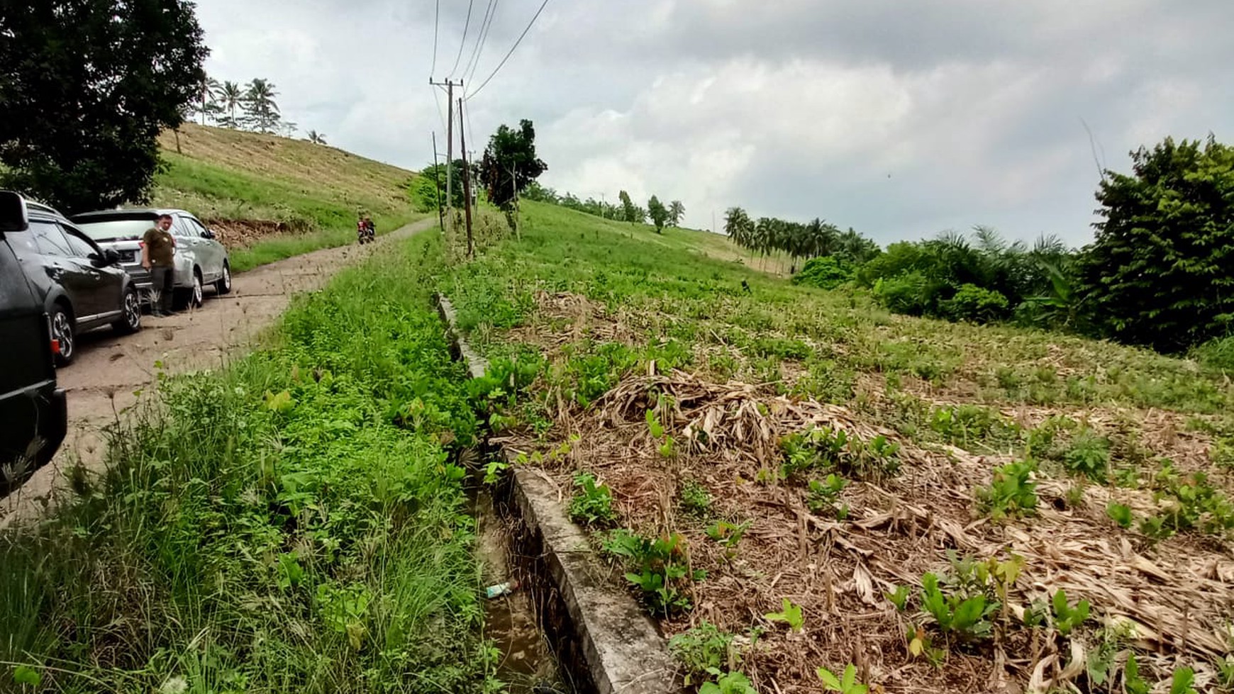 Tanah 8 Ha di Pinggir Jalan Bakauheni Lampung