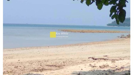 Dijual Tanah Di Bibir Pantai yang Seksi