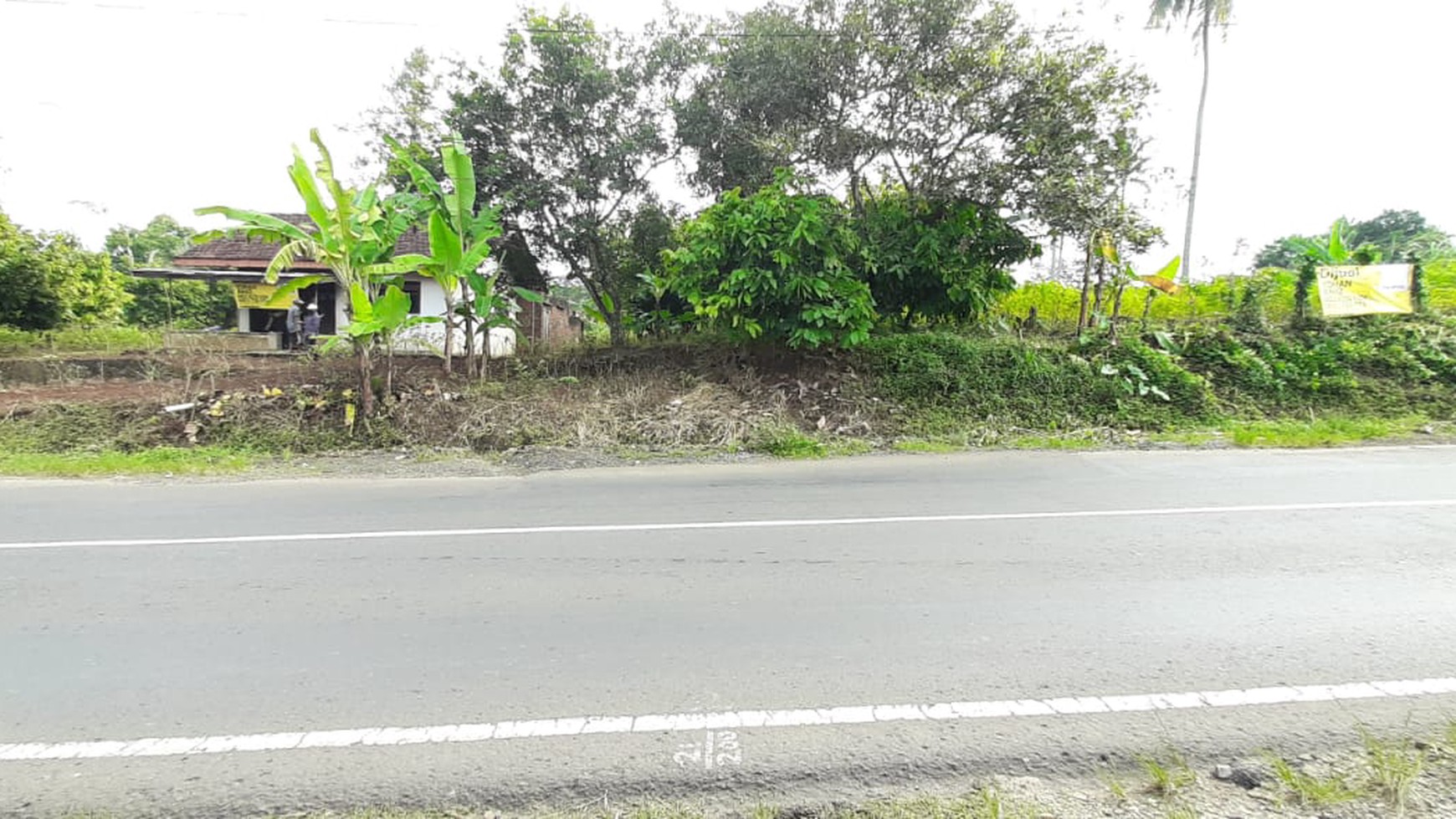 Tanah 2 Hektar Pinggir Jalan Lintas Barat Wiyono Pesawaran