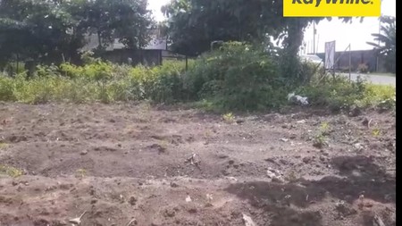 Dijual Tanah SHM di Cepu Blora (Sambong) Jawa Tengah