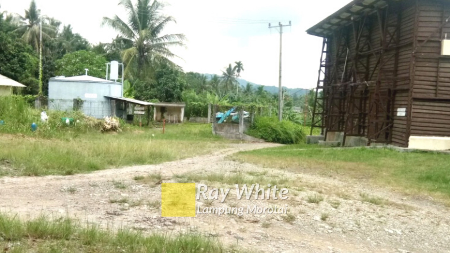 Tambak Seluas 59 Ha di Padang Cermin Pesawaran Lampung