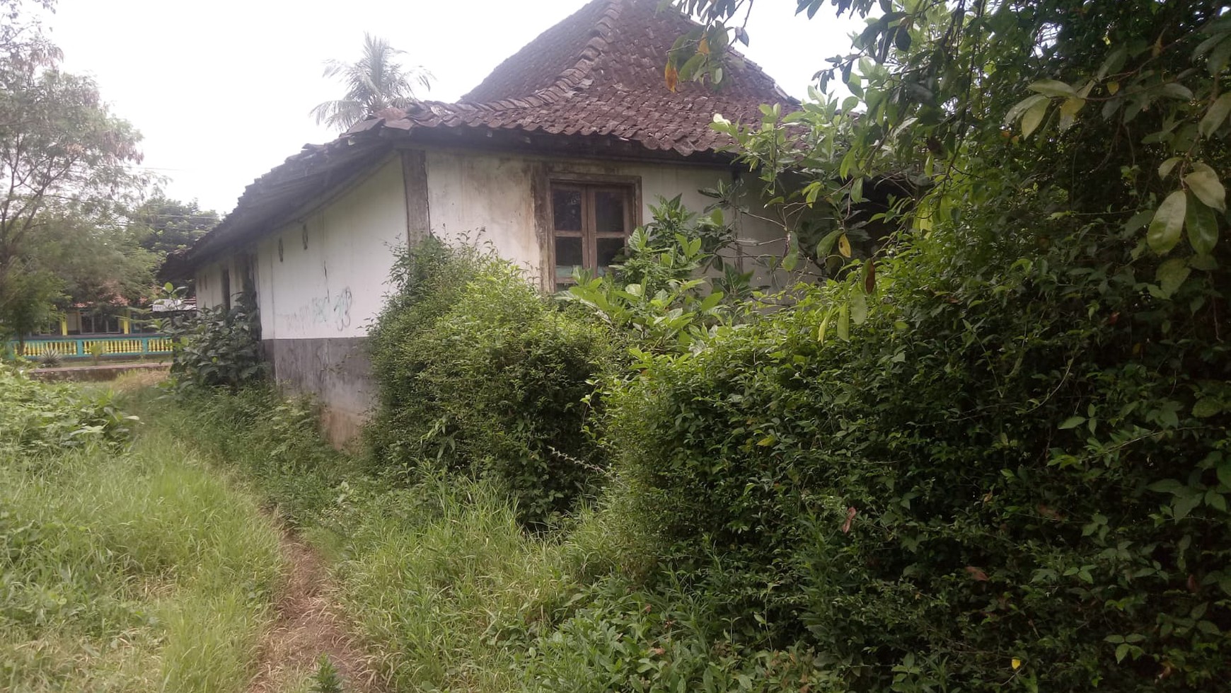 TANAH LUAS DI JALAN NASIONAL MAGELANG PURWOREJO