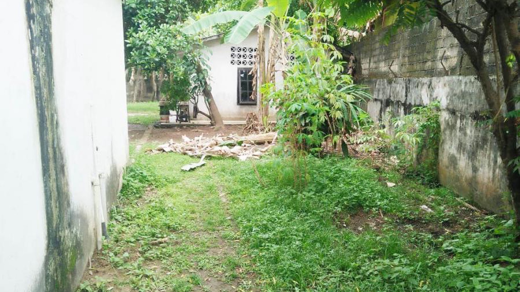 Dijual Rumah + Tanah Luas Di Pinggir Jalan Utama Plaju