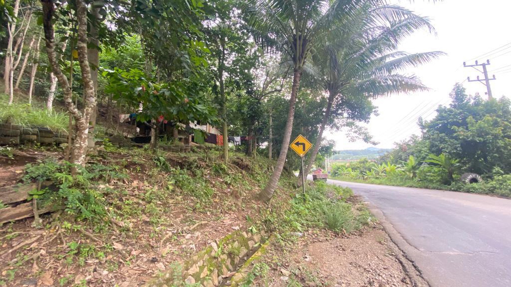 Dijual Cepat (BU) Tanah Kebun Pesawaran Teluk Pandan Lampung