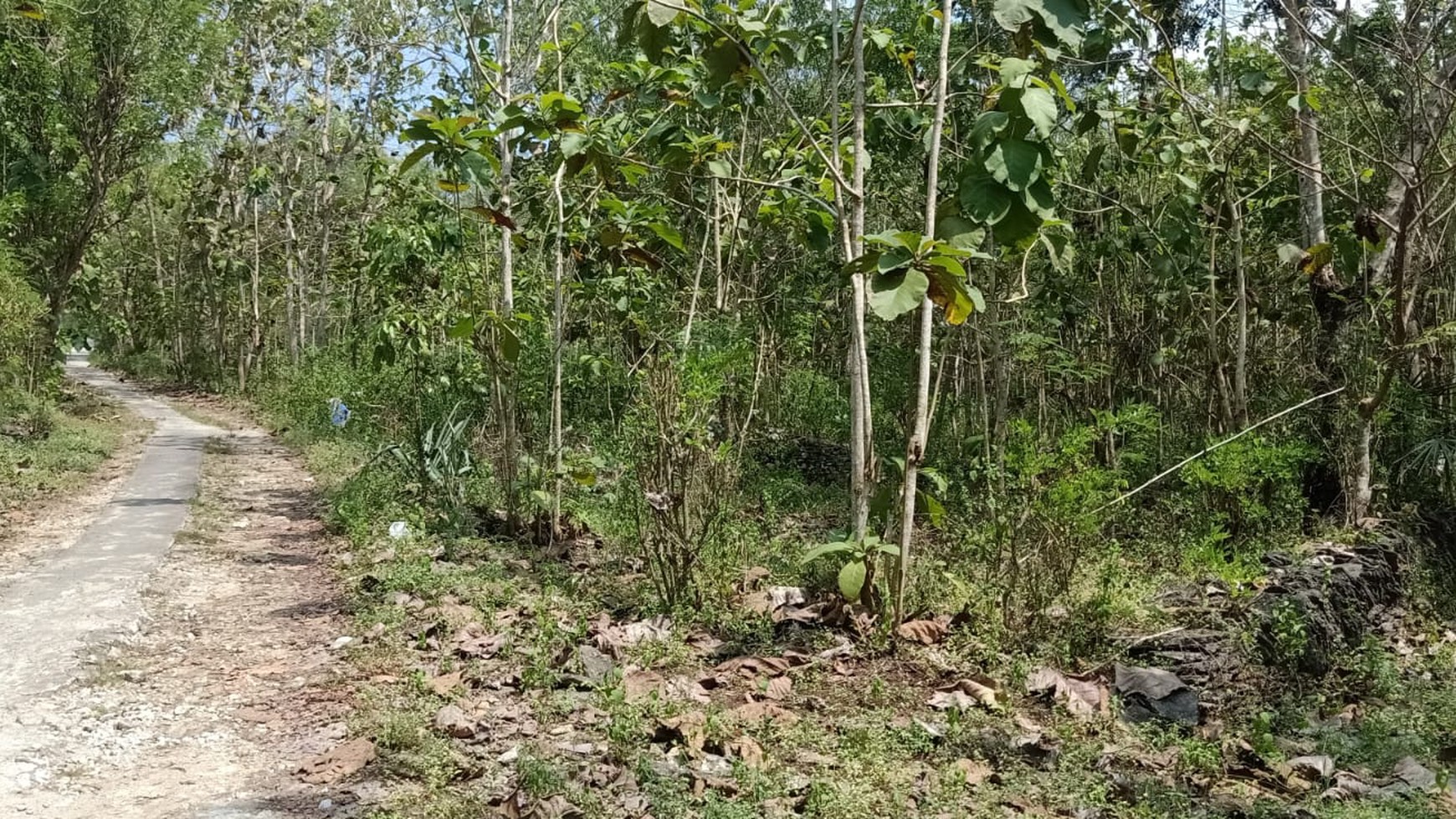 Tanah Seluas 7000 Meter Persegi Di Sentolo Kulon Progo