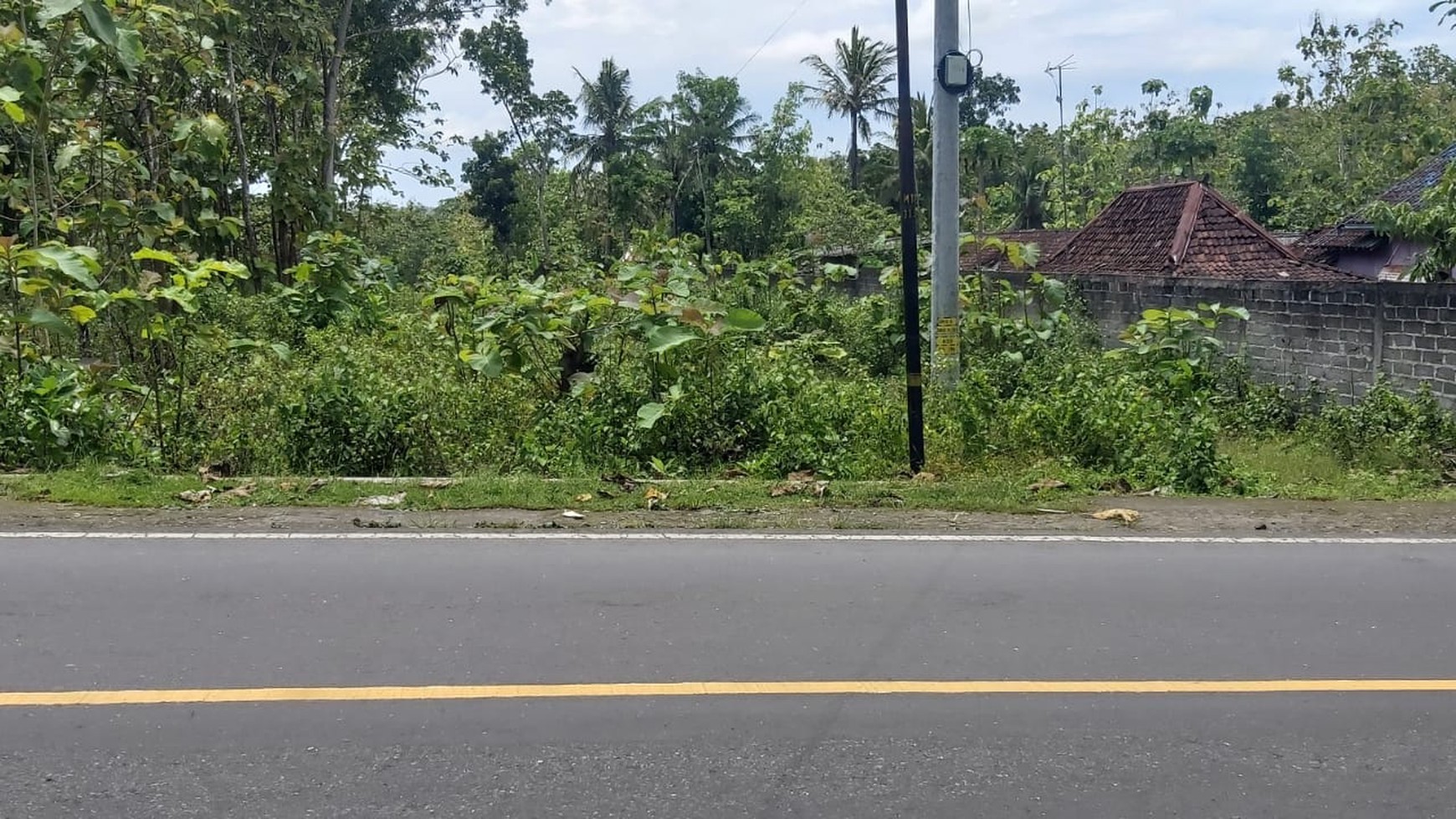 TANAH PEKARANGAN LUAS DI GUNUNG KIDUL YOGYAKARTA