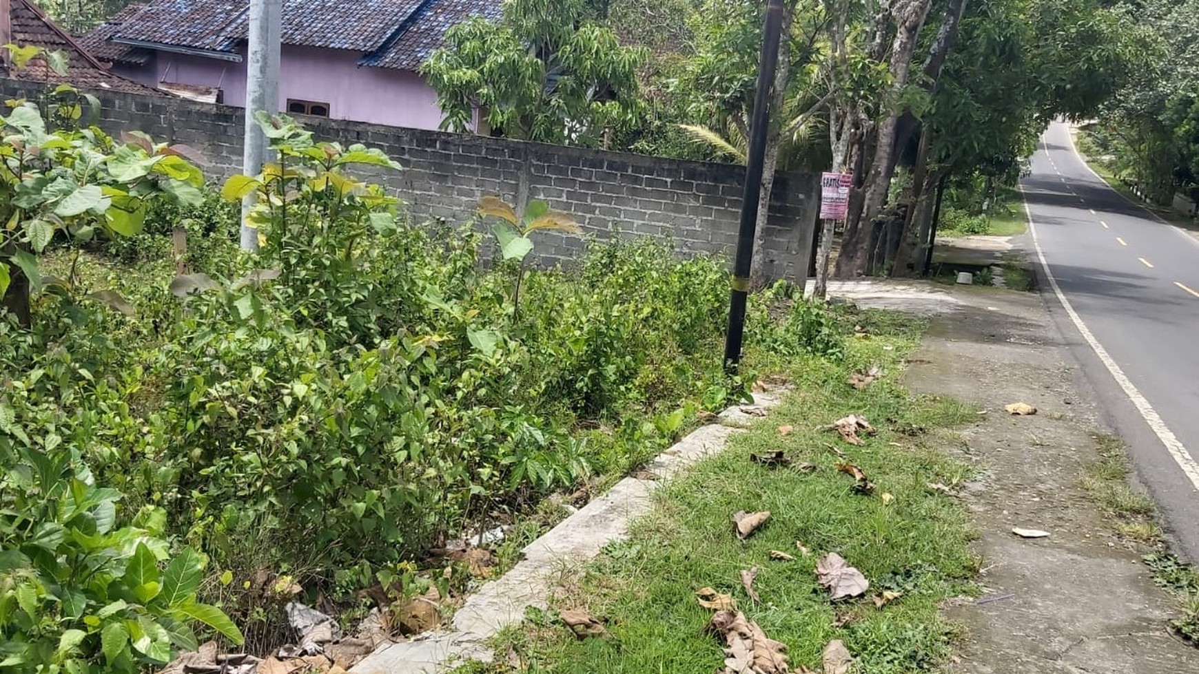 TANAH PEKARANGAN LUAS DI GUNUNG KIDUL YOGYAKARTA