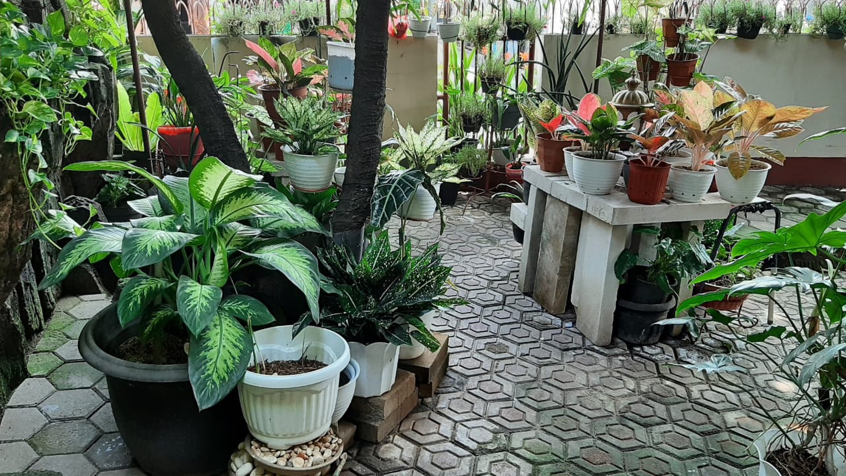 Rumah Terawat di Jalan Gotong Royong, Ciledug, Larangan Indah 